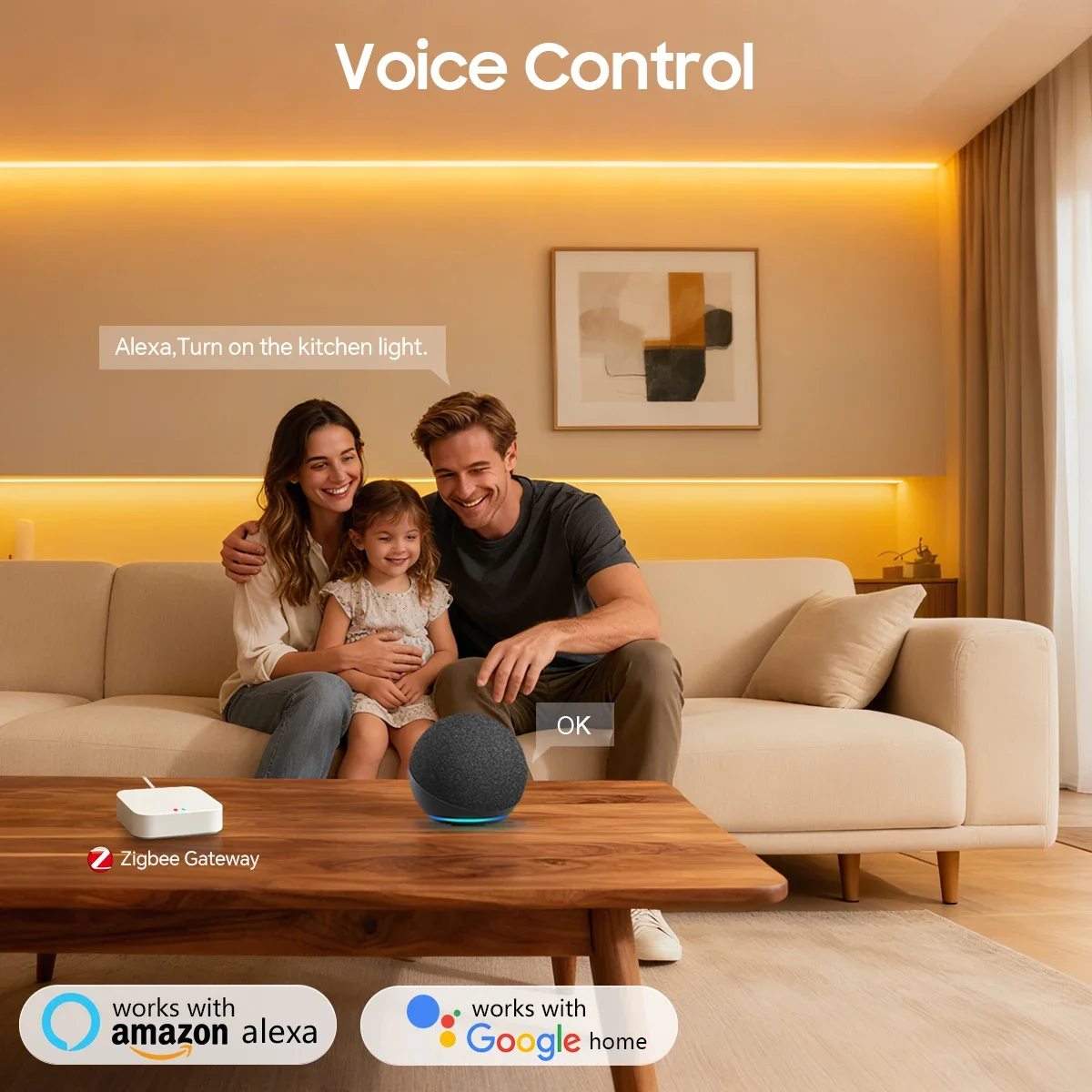 Zigbee 3.0 24V Lampu Strip LED - Zigbee Coordinator Stick ulasan dan harga